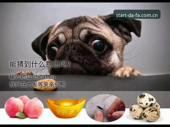 大发平台下载教程真的靠谱吗？怎么才能快速上手？
