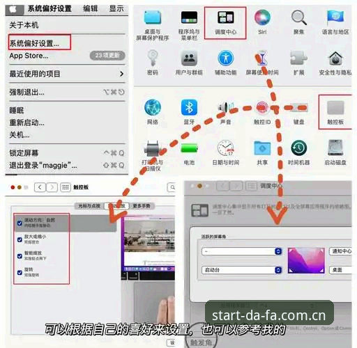 大发平台使用教程：新手必备的实用技巧与操作指南